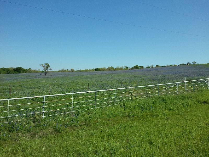 2012-03-25 11.05.56.jpg